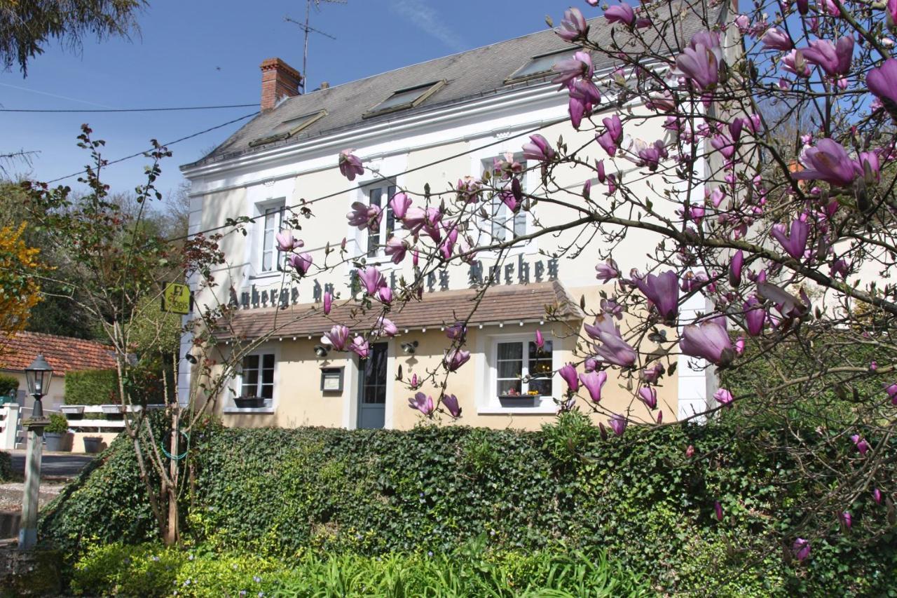 L'Auberge Du Port Des Roches Luche-Pringe Екстериор снимка